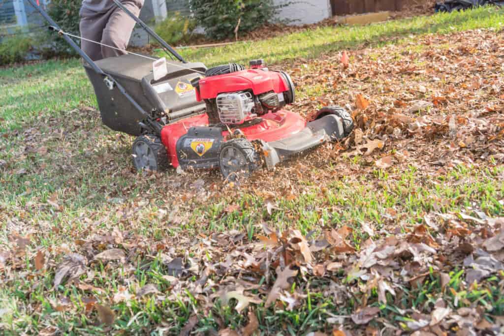 Mulching Grass Clippings - LawnCareAssistant