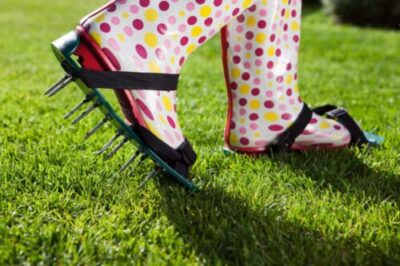 Aerate Your Lawn Image