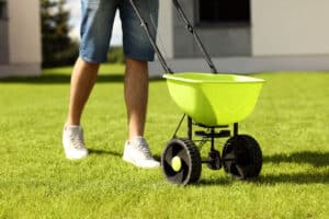 Overseeding A Lawn Image