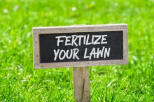 Best Lawn Fertilizer Image