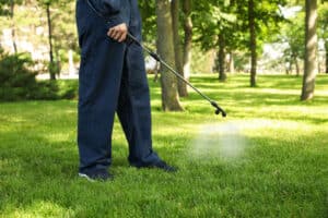 How Long After Lawn Treatment Is It Safe For Pets