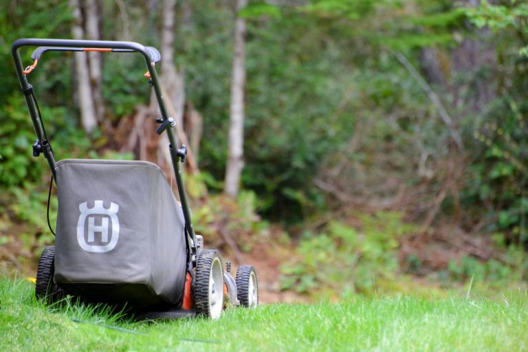 Choose A Small Lawn Mower With Bag