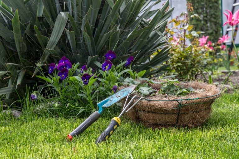 Essential Lawn Care Tools For New Homeowners
