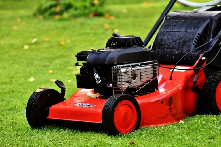 How Often Should Lawn Mower Be Serviced