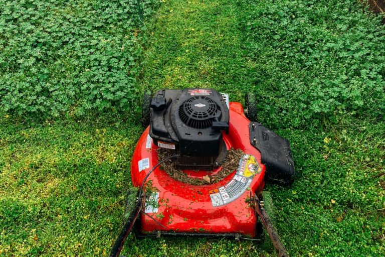 Reasons To Buy A Compact Lawn Mower