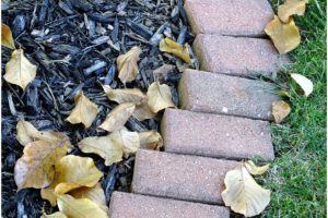 Difference Between Mulch And Compost