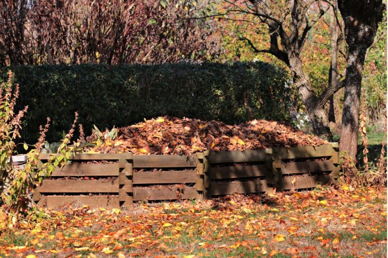 Where To Set Up A Compost Bin