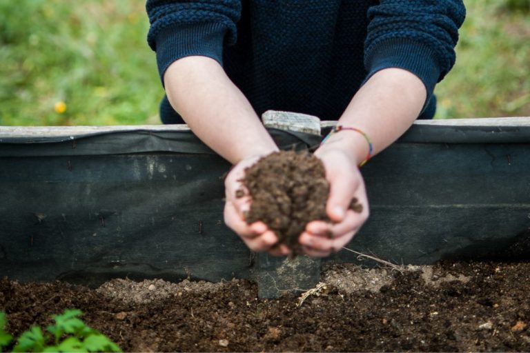 Why Composting Is Good For The Environment