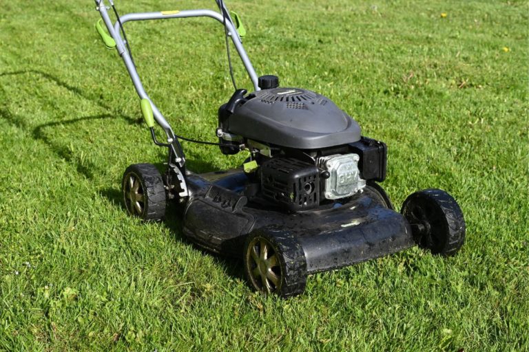 corder vs corderless lawn mower