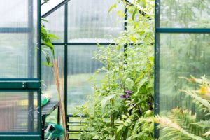 How Much Does It Cost To Get A Portable Greenhouse And Plants