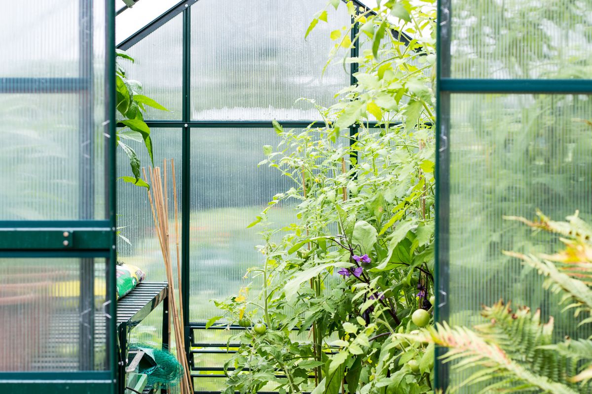 How Much Does It Cost To Get A Portable Greenhouse And Plants