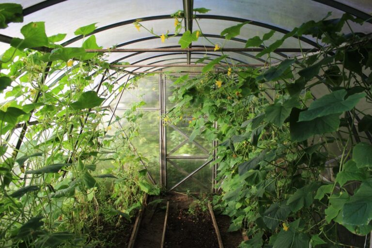 How to Heat a Greenhouse Without Electricity 768x512 1